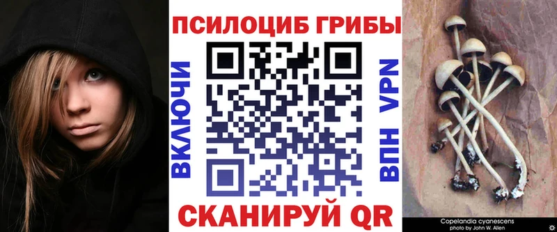 сайты даркнета формула  Дно  Галлюциногенные грибы MAGIC MUSHROOMS  закладка 